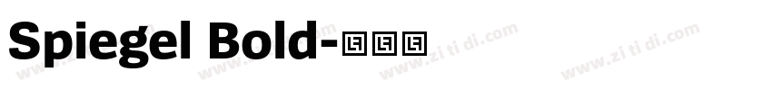 Spiegel Bold字体转换
